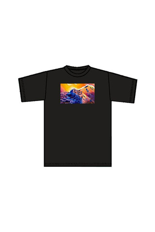 Saddle Peak T Shirt Discrete Clothing